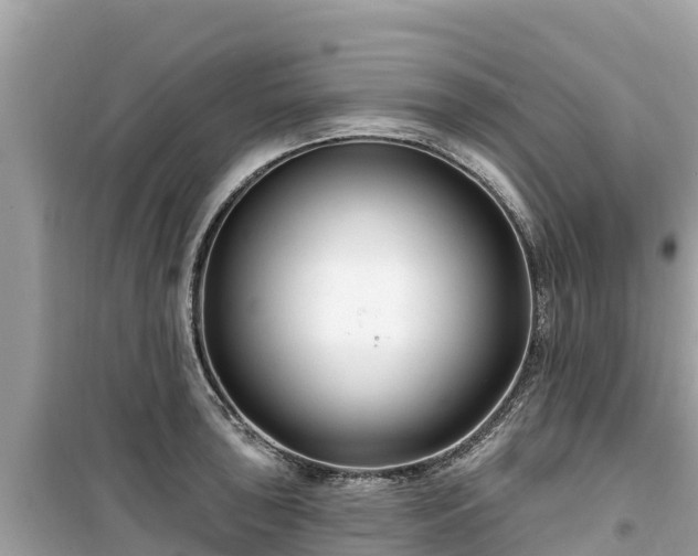 X0000099521043200805221440