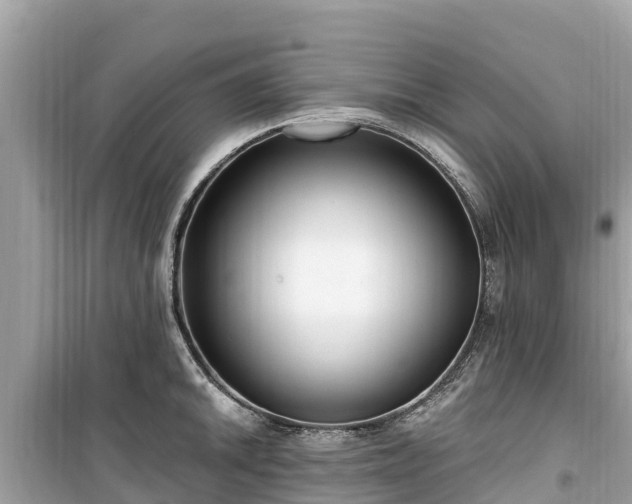 X0000099521046200805221440