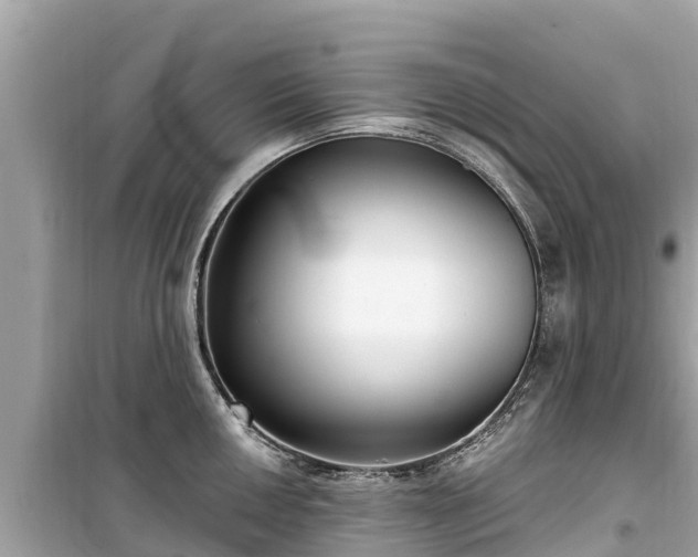 X0000099521050200805221440