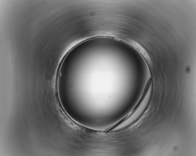 X0000099521052200805221440