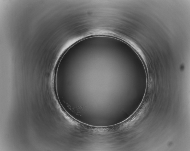 X0000099521053200805221440