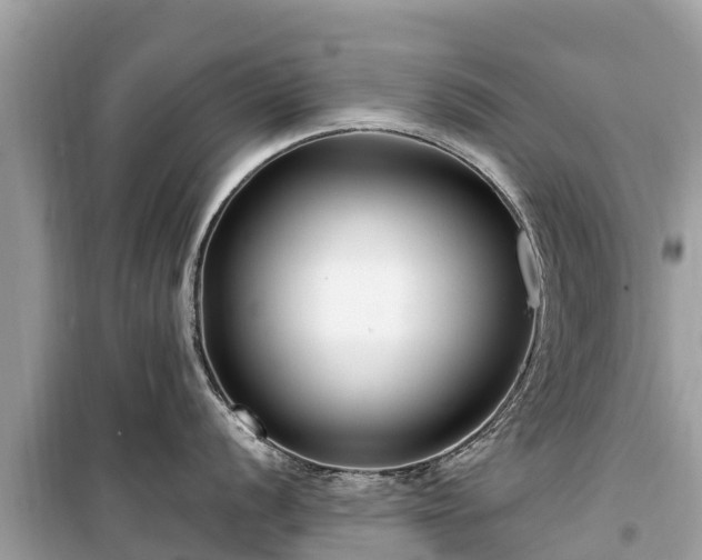 X0000099521056200805221440