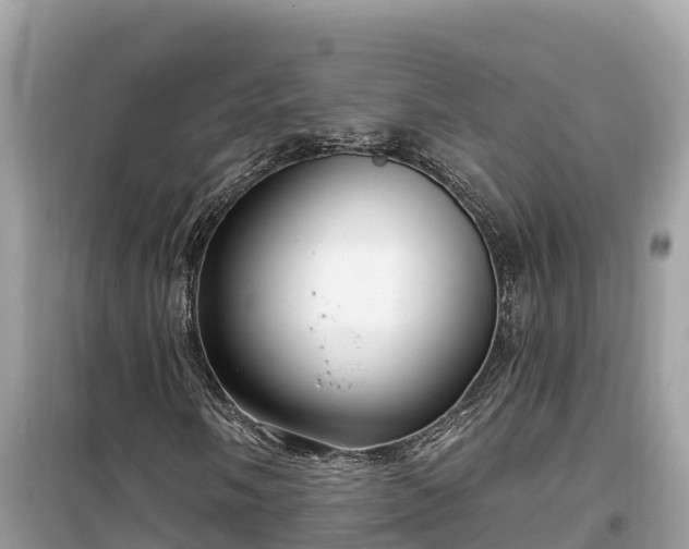 X0000099521058200805221439