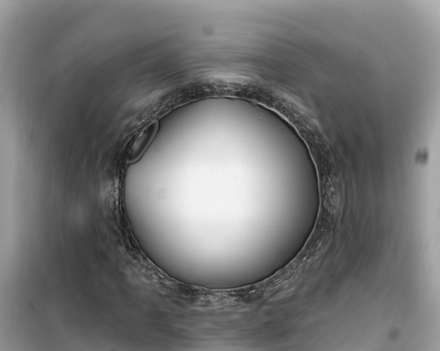 X0000099521061200805221439