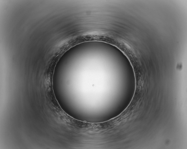 X0000099521062200805221439