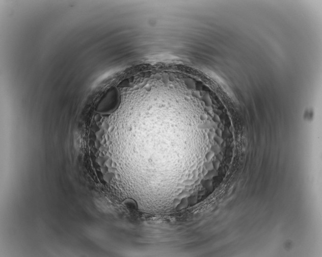 X0000099521063200805221439