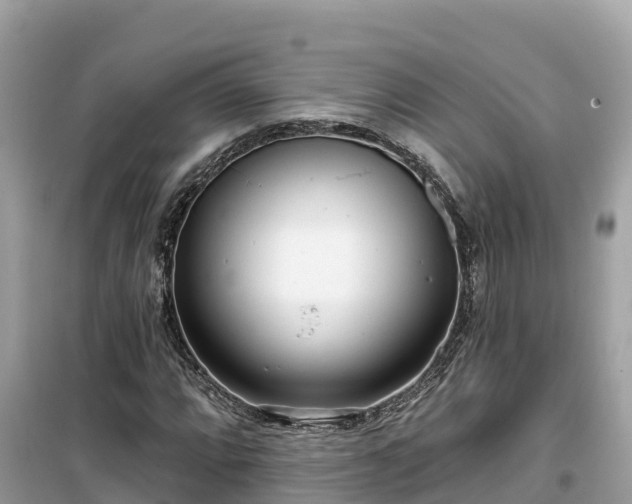 X0000099521064200805221439