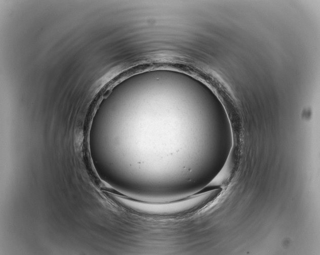 X0000099521065200805221439