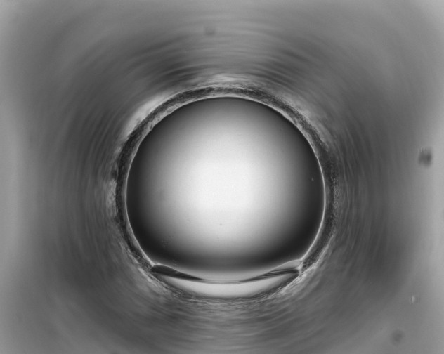 X0000099521066200805221439