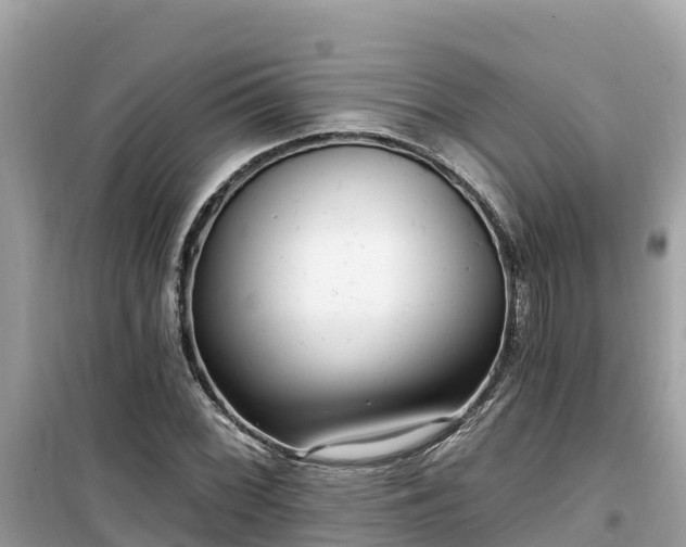 X0000099521068200805221439