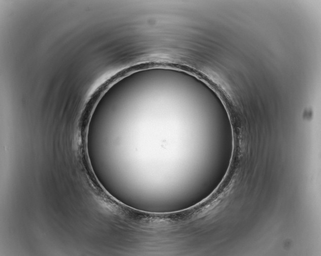 X0000099521070200805221439