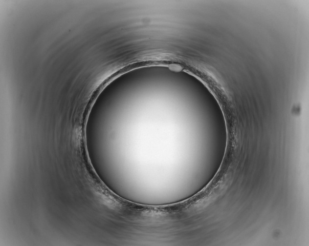 X0000099521073200805221439