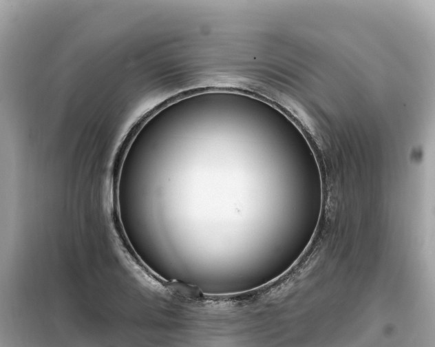 X0000099521080200805221439