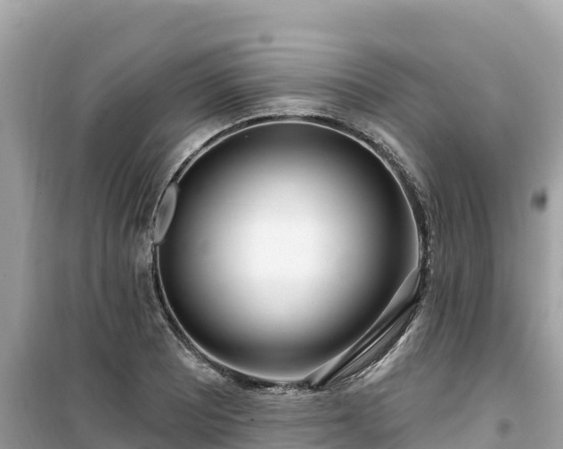 X0000099521081200805221439