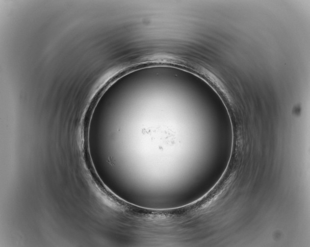 X0000099521082200805221439
