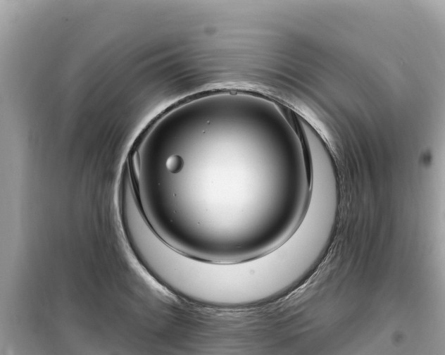 X0000099521084200805221439