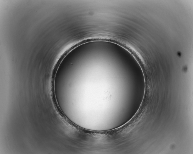 X0000099521085200805221439