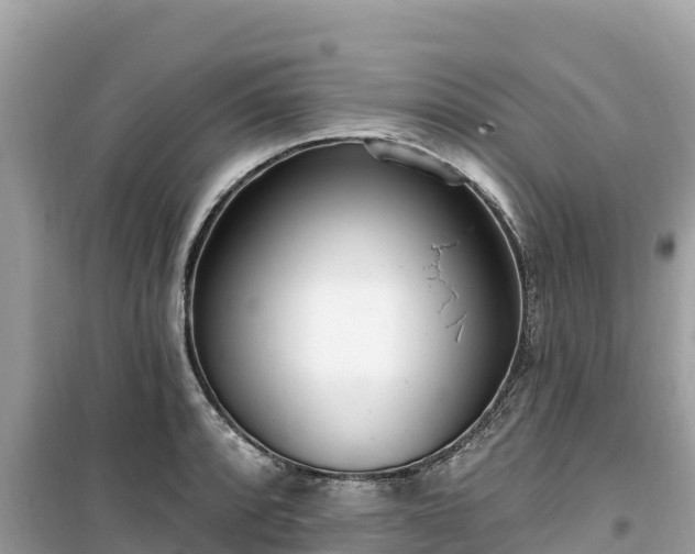 X0000099521088200805221439