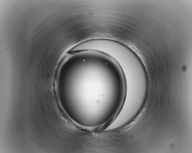 X0000099521089200805221439