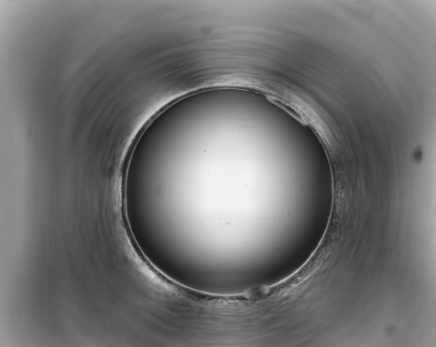 X0000099521092200805221439