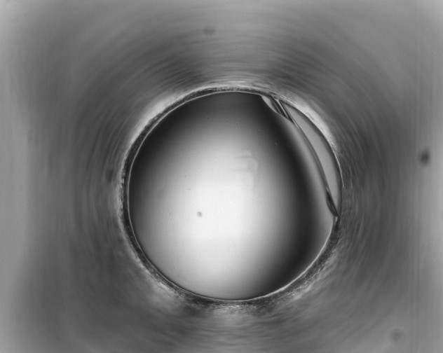 X0000099521093200805221439