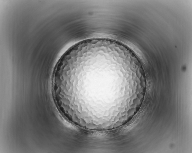X0000099521094200805221439