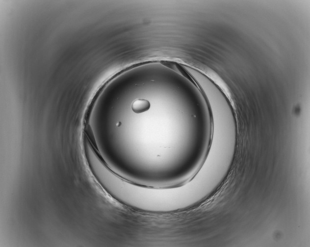 X0000099521096200805221439