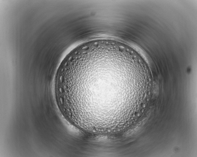X0000099521098200805221439