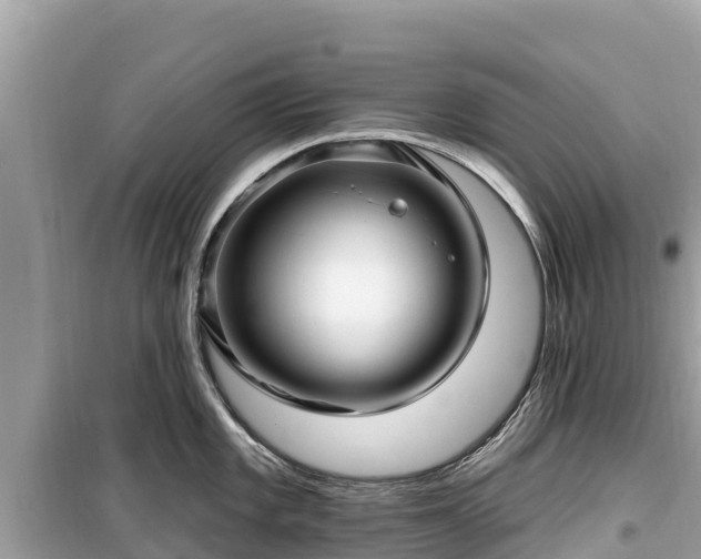 X0000099521101200805221439