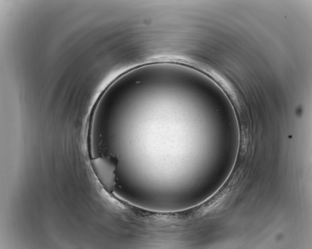 X0000099521102200805221439