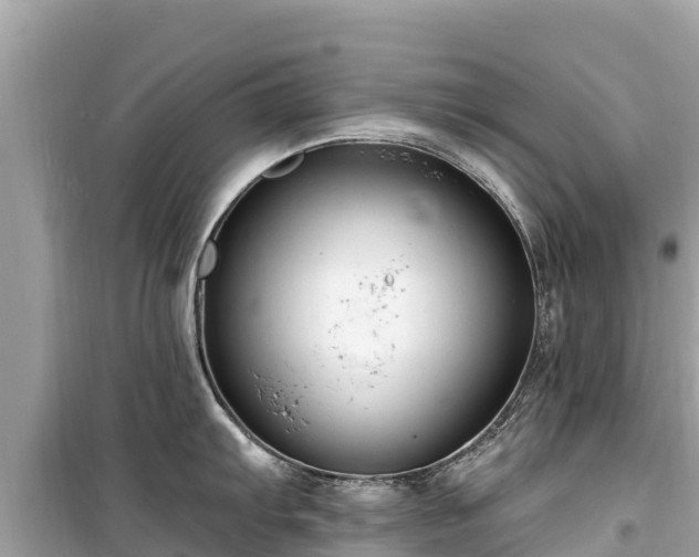 X0000099521103200805221439