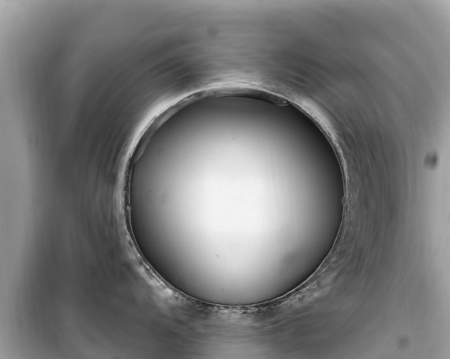 X0000099521104200805221438