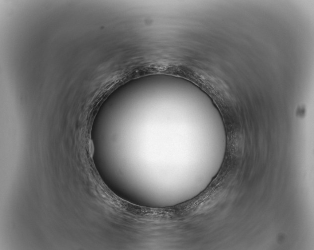 X0000099521105200805221438