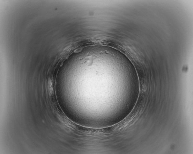 X0000099521106200805221438