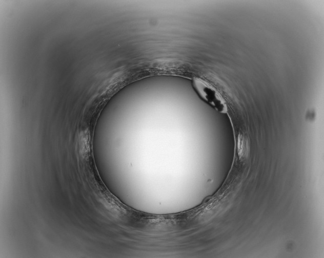 X0000099521107200805221438
