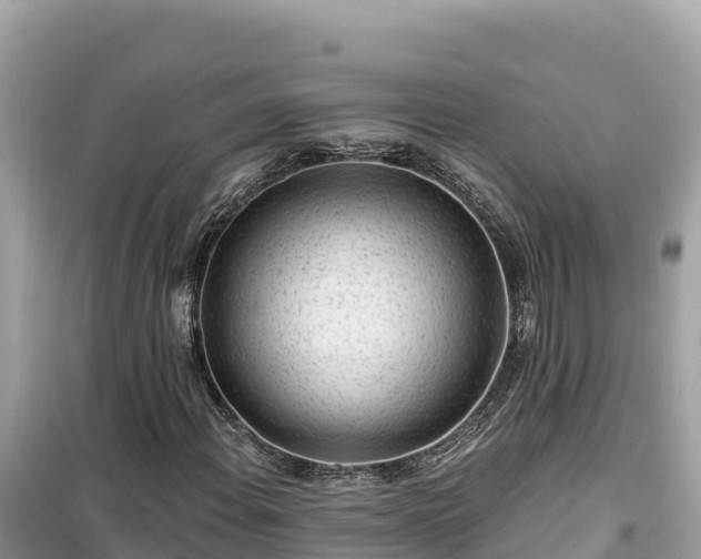 X0000099521108200805221438