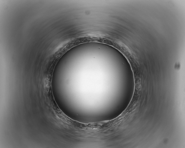 X0000099521110200805221438