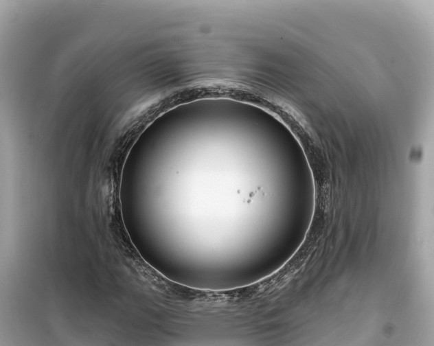 X0000099521111200805221438