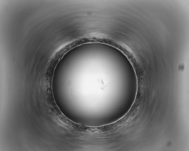 X0000099521112200805221438