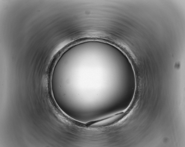 X0000099521114200805221438