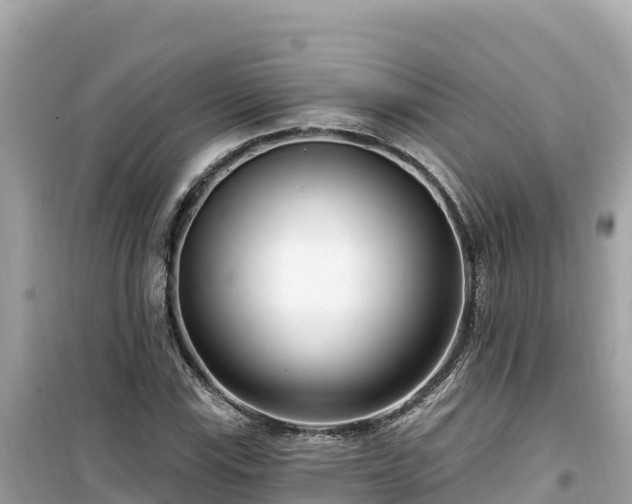 X0000099521115200805221438