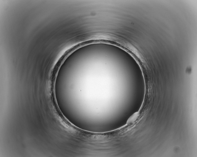 X0000099521116200805221438