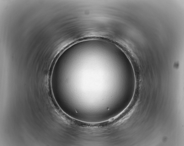 X0000099521121200805221438