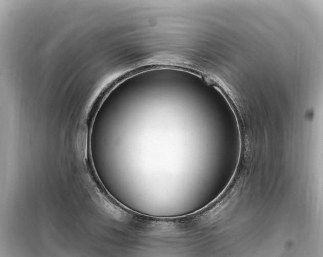 X0000099521123200805221438