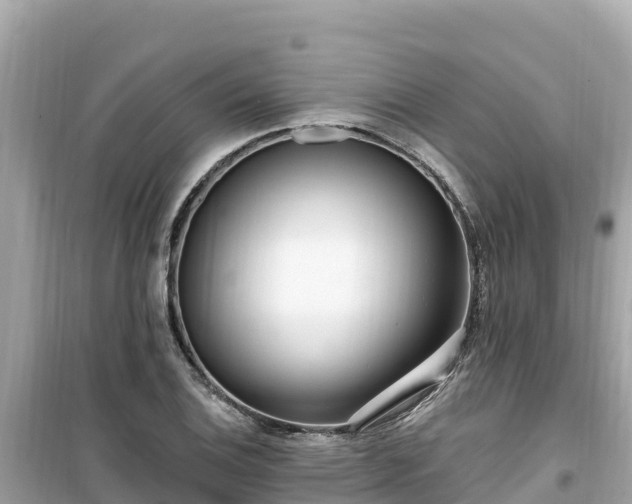 X0000099521124200805221438