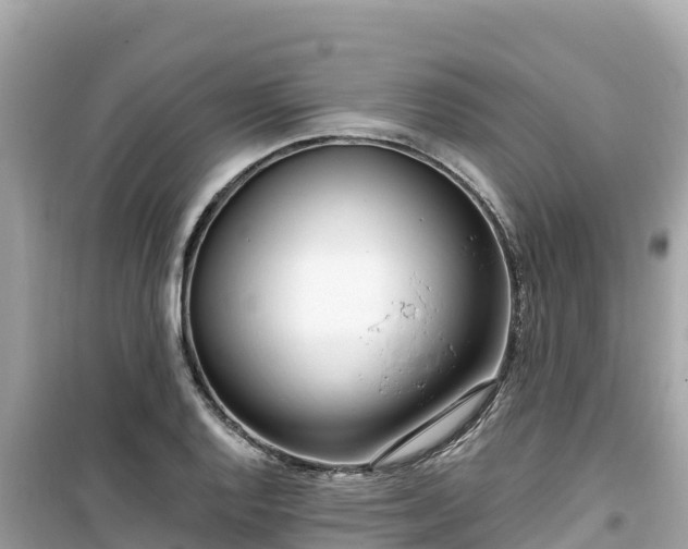 X0000099521128200805221438