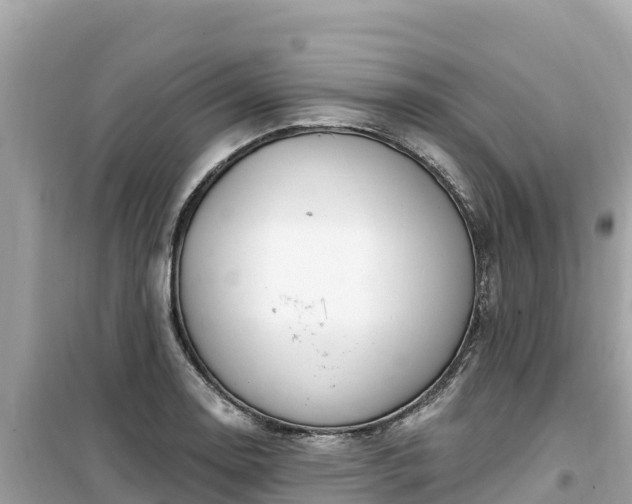X0000099521130200805221438