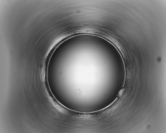 X0000099521131200805221438