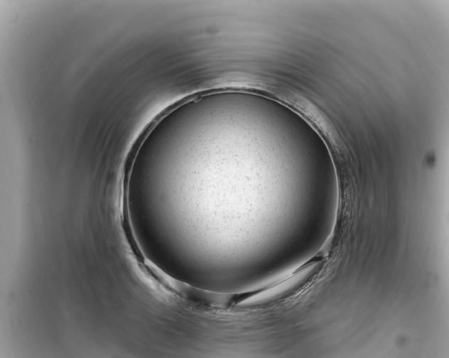 X0000099521132200805221438