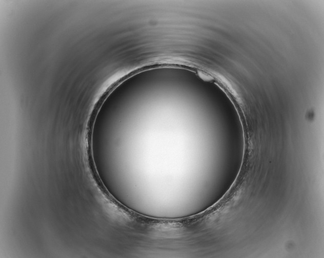 X0000099521133200805221438